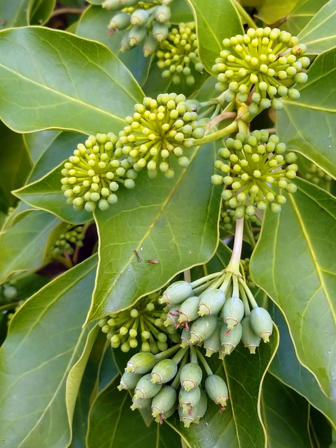 ずる賢い Twitter Search Twitter