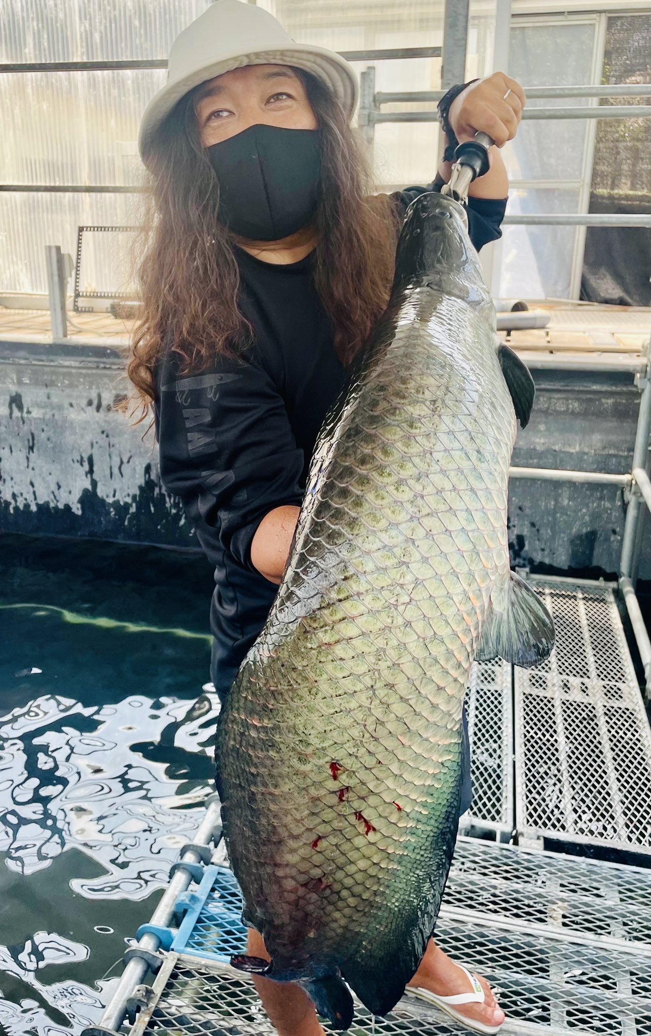 Bombadateru 呼ばれまして あるオープン前の関東の釣り堀でピラルクのテストフィッシングしてきました この魚の習性上 レギュレーションや安全面 魚のケアなど考えなければならない難しいことが多々あるように思いました 上手く実現するといいですね
