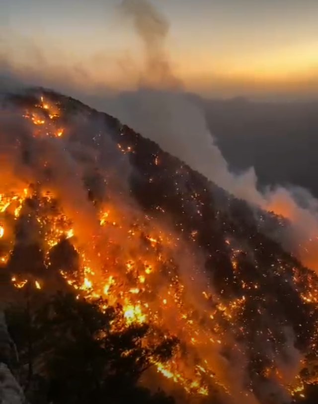 3 gündür Silifke yanıyor ne zaman destek vermek için yeterli helikopter göndereceksiniz ? Memleket tamamen yangından dümdüz olunca mı yardıma geleceksiniz ? #SilifkeYanıyor