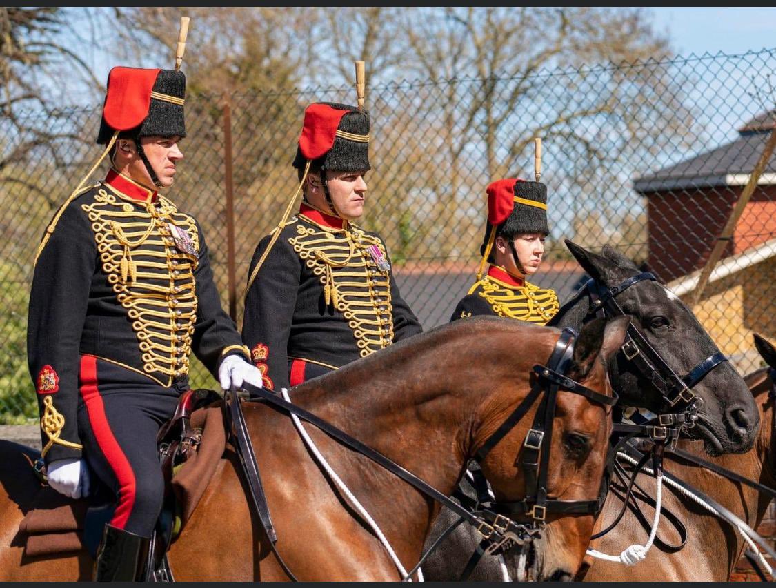 VetWithViews's tweet photo. Busy few months for the Troop but this is what we do and we do it well! Now on leave so hopefully the soldiers and horses can have a well deserved rest! #kingstrooprha #militaryworkinghorses #publicduties #RWHS21 #HMQ https://t.co/KqpR5tHMxs