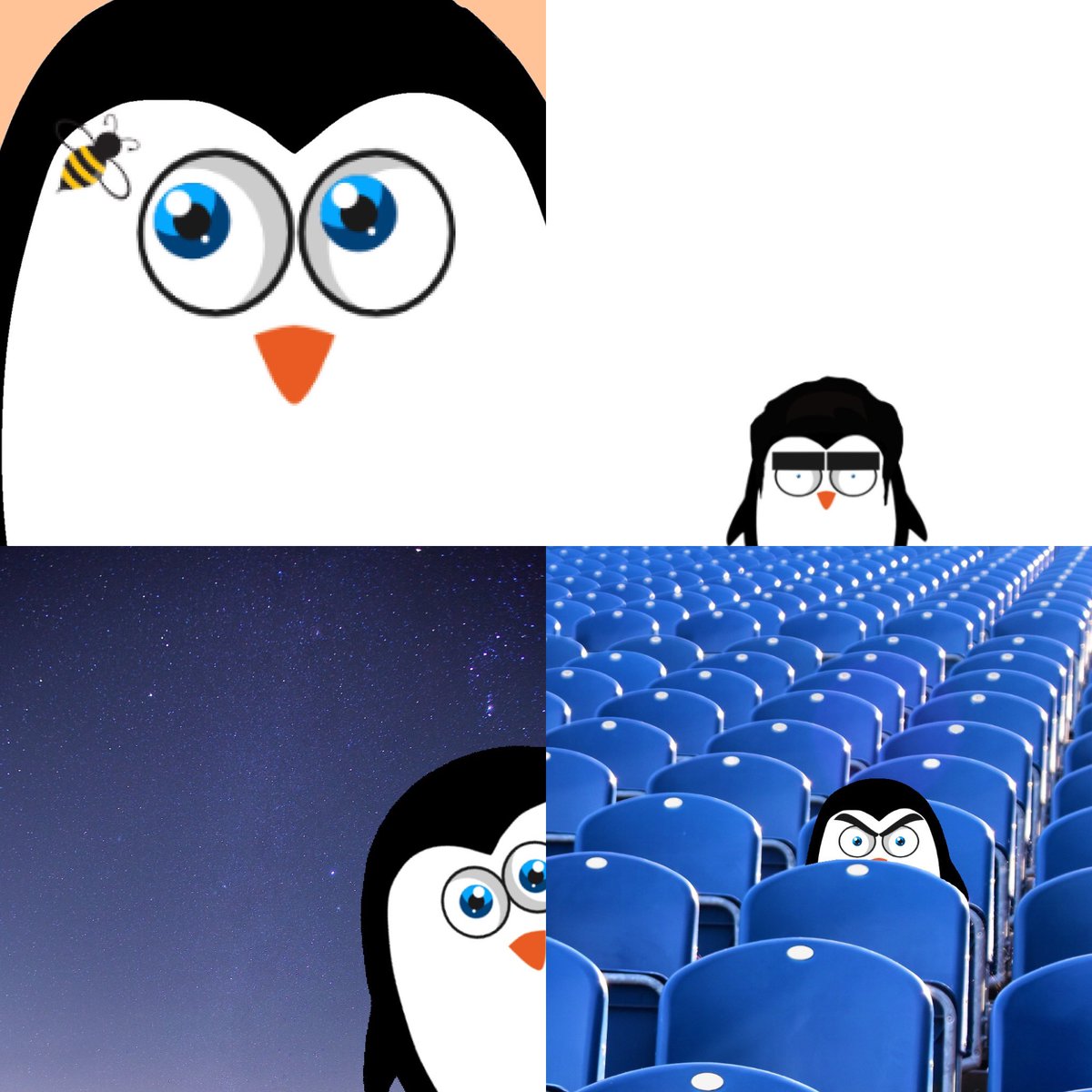 PengStarz. tweet media