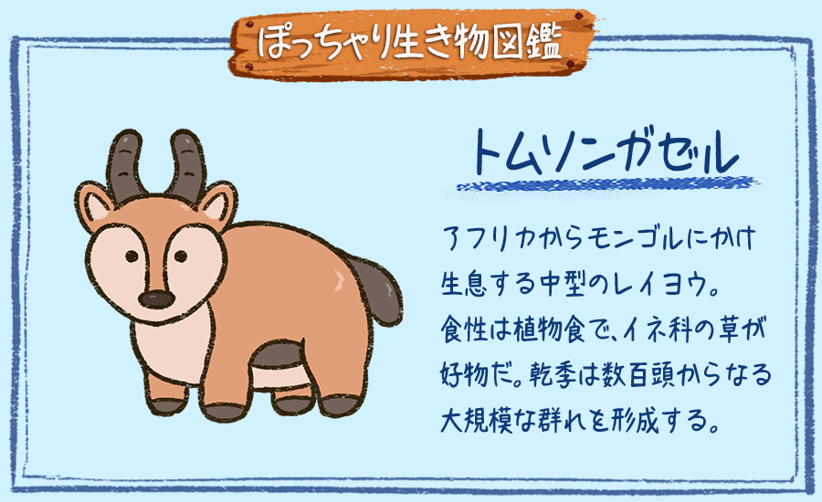 ぽっちゃり昆虫図鑑 略してぽちゃこん ぽっちゃり生き物図鑑 No 116 トムソンガゼル ぽっちゃり体型の生き物を毎日描いています 今日はアフリカに生息する動物 ガゼルです ちなみにレイヨウとはウシ科からウシ族とヤギ亜科を除いた種のことだ ぽっちゃり昆虫図鑑 略してぽちゃこん ぽっちゃり生き物図鑑 No 116 トムソンガゼル ぽっちゃり体型の生き物を毎日描いています 今日はアフリカに生息する動物 ガゼルです ちなみにレイヨウとはウシ科からウシ族とヤギ亜科を除いた種のことだ