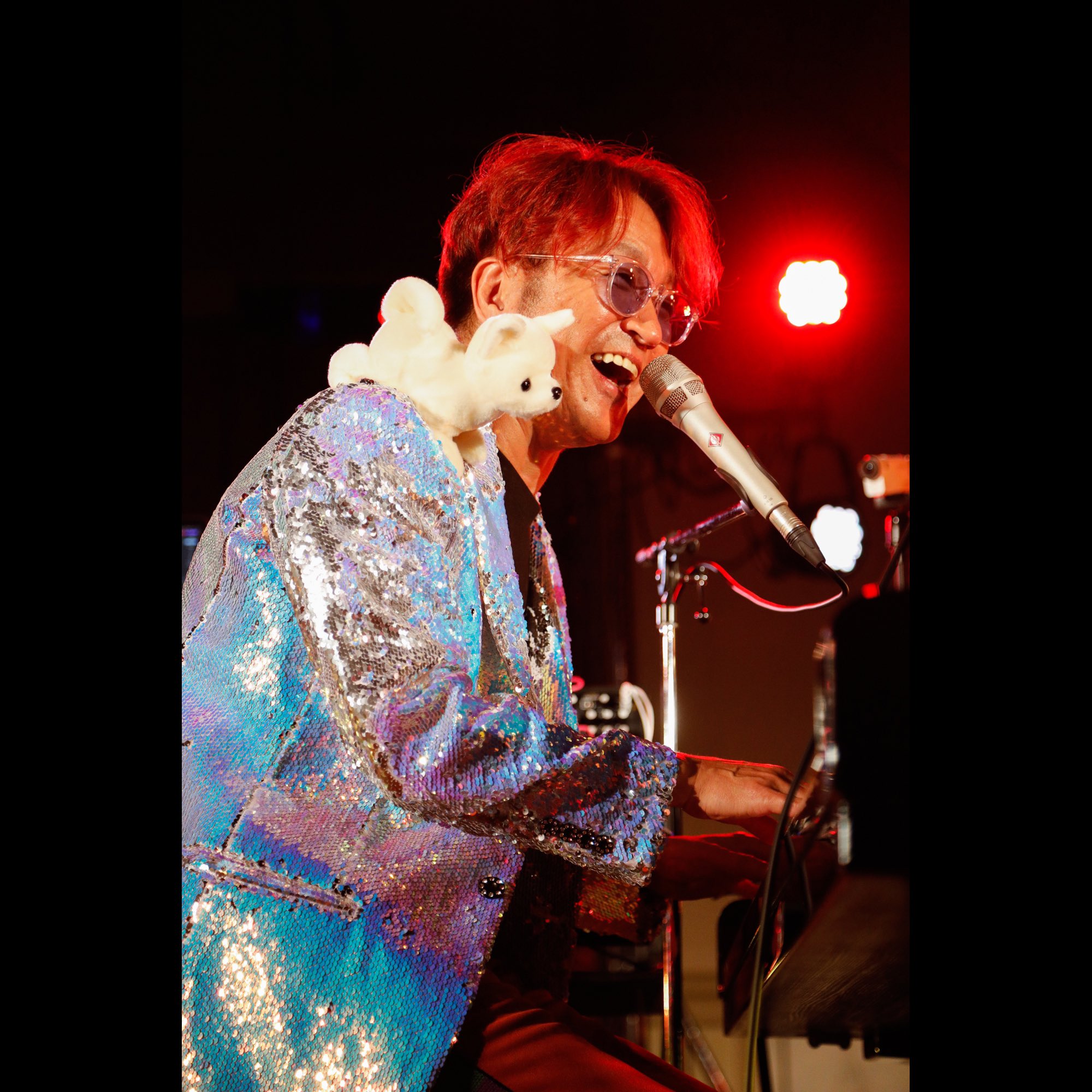 未開封 ユニコーン ABEDON アベペリ ココペリ 未開封 ABEDON ココペリ