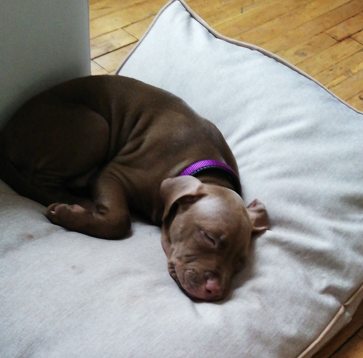 hestchia's tweet photo. Bonjour, c'est la photo de moi quand j'étais le potit bb ma maine elle dit c'est mignonitude/20 https://t.co/cyPYIFJZ1d