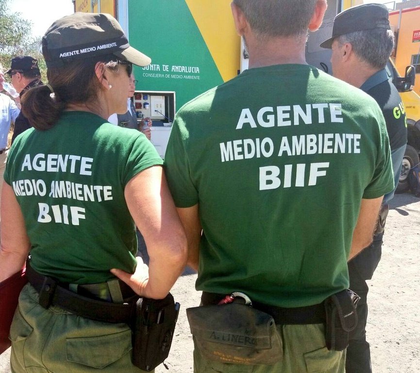 Plan_INFOCA's tweet photo. 🗓 Hoy es el Día Mundial del Guarda Forestal, rangers, guardafaunas, agentes forestales o guardaparques, todos tienen en común su dedicación y su compromiso con el cuidado de los bosques y espacios protegidos en general. 

🗣 Felicidades a nuestros compañeros los @AAMM_And https://t.co/skLRBw0l2i