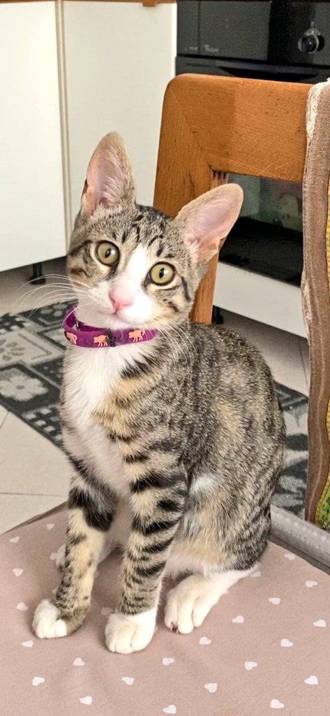 Ma la bellezza della mia piccolina?❤️