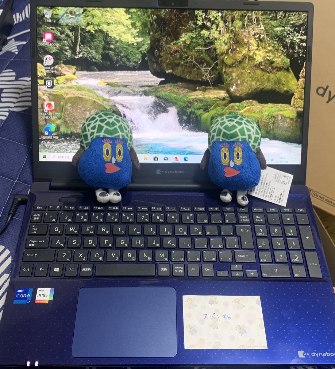 Dynabook Or V2 Twitter Search