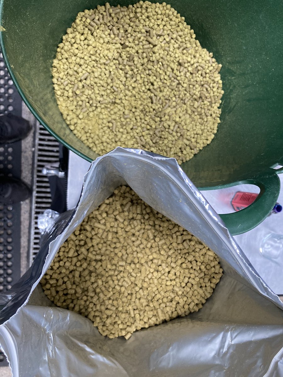 Saturday morning Dry Hopping! Featuring (in ascending order) Amarillo, Citra &amp; Galaxy!
