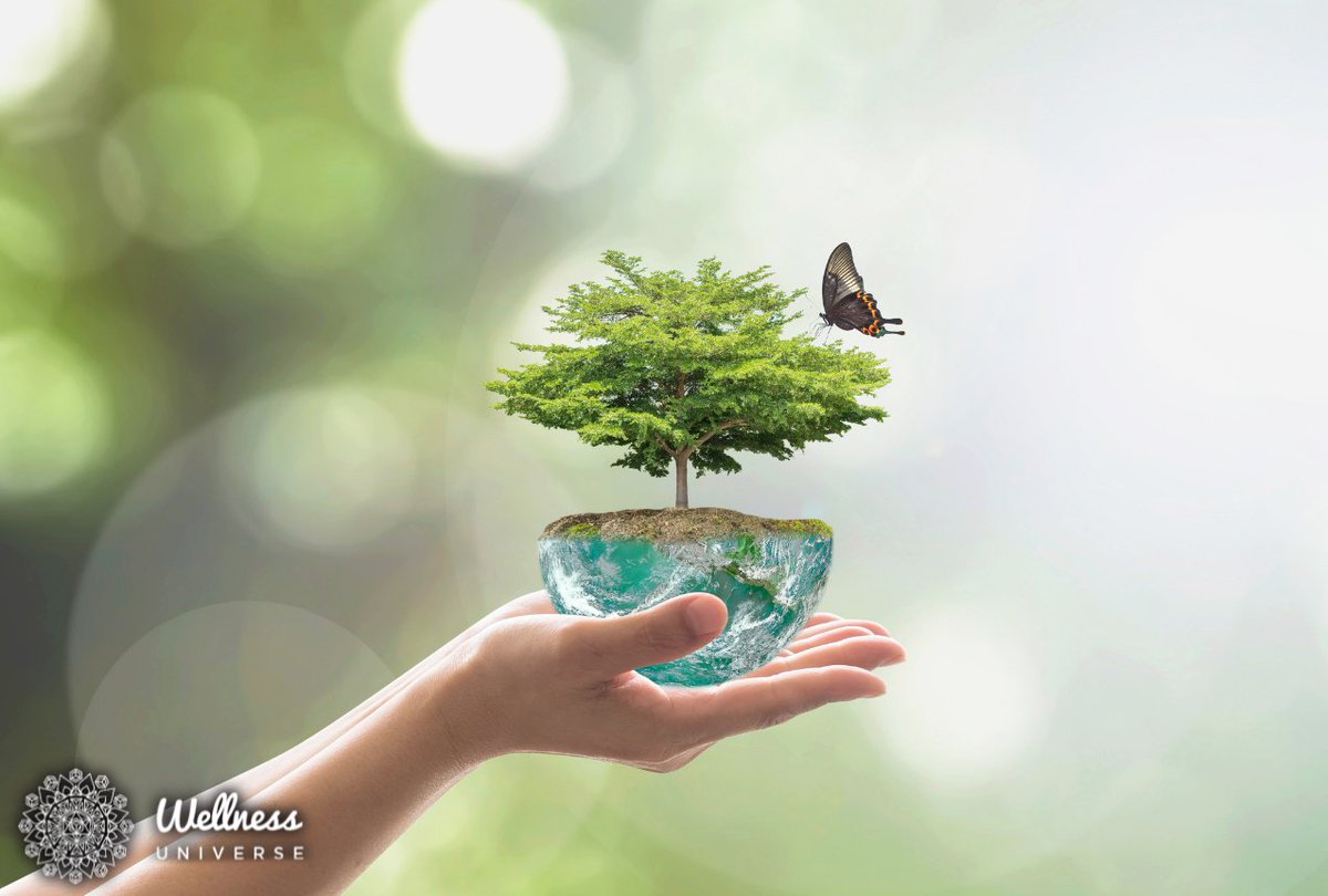 jennydtasker's tweet photo. Join us as we discuss how we are our Mother’s keeper through environmental wellness, and how we are responsible for Earth's health.  https://t.co/SupX56M23j 

#MotherEarth #Earth #Environment #WellnessUniverse #WUWorldChanger https://t.co/6843BCvFP9