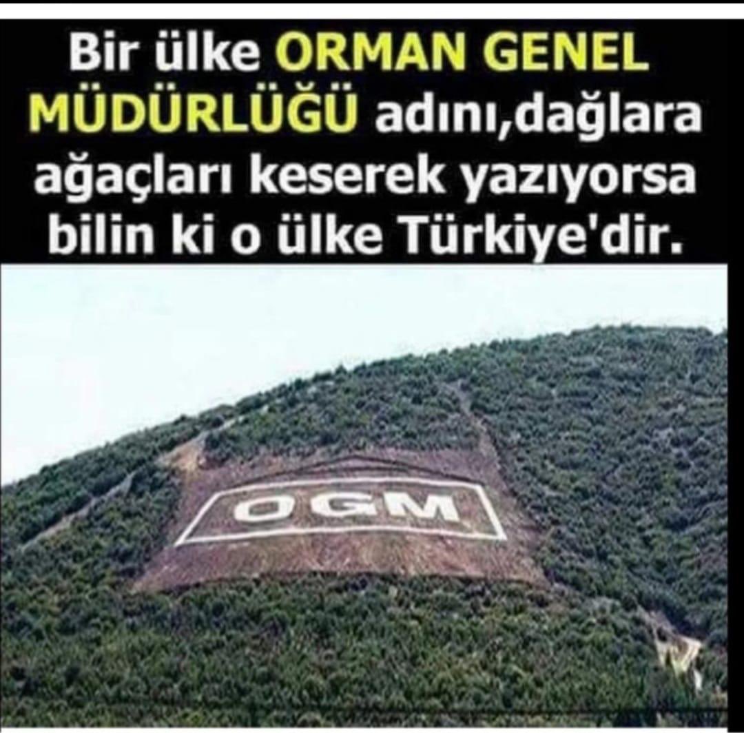 Umarım gerçek değildir…