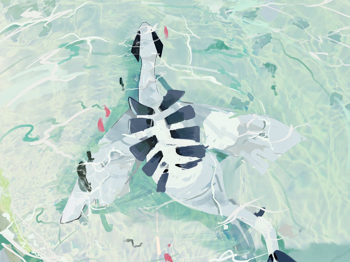 water pokemon (creature) from above outdoors standing  illustration images