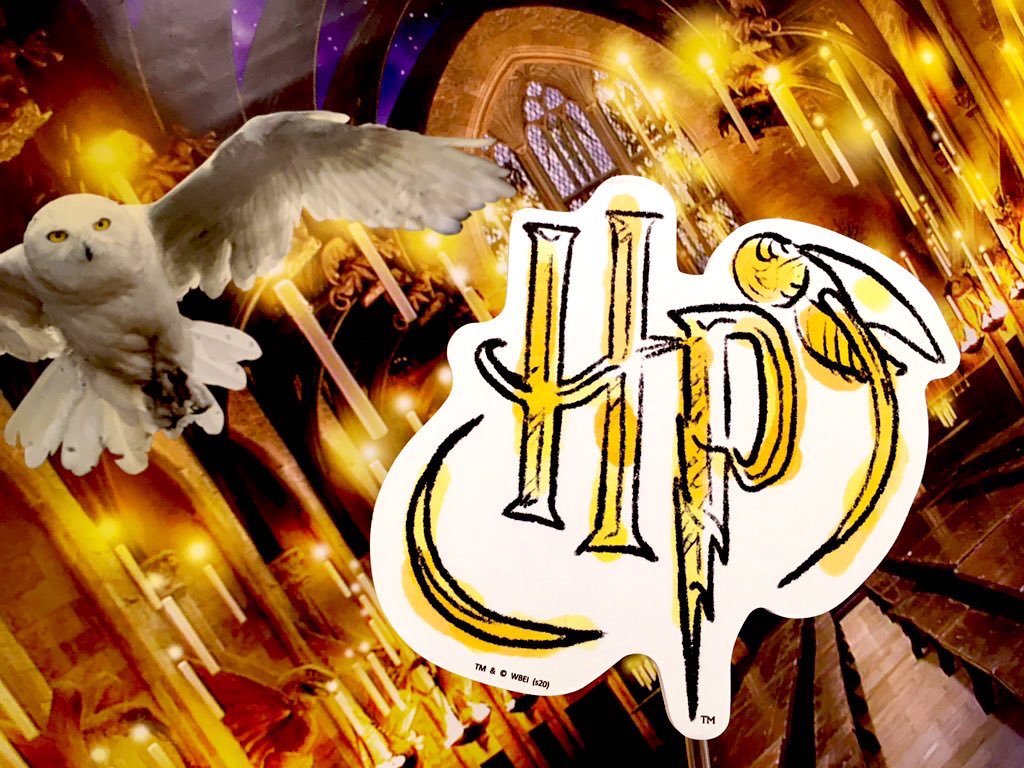 hp_bgc's tweet image. 【お知らせ】
こちらの「ウィザコレ」アカウントは、本日7月31日をもって終了となります。長らくの間フォローやリツイート等ありがとうございました！！！
引き続き通販情報については、@Evt_VISION8 にて呟きますので、チェックしてみてください！
今まで本当にありがとうございました！！！