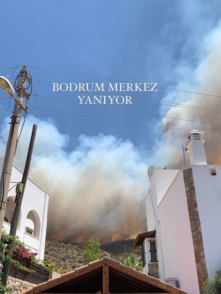 bylehayatmiolur's tweet photo. ACİLEN EKİPLER GİTMELİ GÖZ GÖRE GÖRE YANIYOR #Bodrumyanıyor #bodrumyangın https://t.co/YqpYxumaEh
