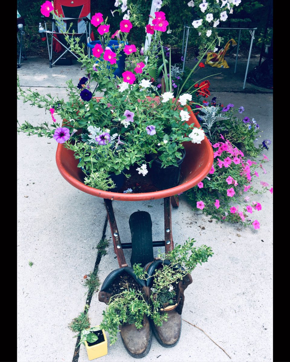 MHJGardenDesign's tweet photo. We are so thankful the #PlantSale is going very well! Only 1 day left to get some wonderful annuals & perennials at fantastic prices.
PM on Facebook for details if in the S. central PA area 😎
#willowtrees #sempervivum #petunias #caladium #inchplant #sweetpotato #sixonsaturday https://t.co/bTYg4mRGEb