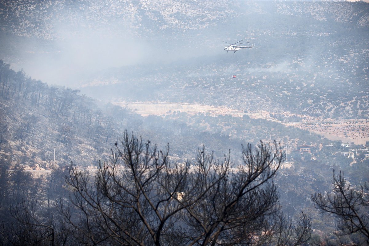 Maalesef yangın sürekli başka bölgelere sıçrayarak büyüyor. Hava desteği 3 gün sonunda sosyal medyanın etkisiyle artmaya başladı fakat artan rüzgar yangını körüklüyor. İnsanlar yoğun dumandan yoruldu, yardım edecek personel ihtiyacımız var.

#SilifkeYanıyor