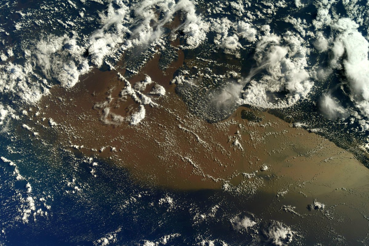 Thom_astro's tweet photo. La forêt amazonienne 🟢☁️🟢☁️🟢 On voit nettement les coupes qui remontent le long des cours d’eau. Un des résultats, c’est une augmentation de l’érosion, et donc des sédiments charriés par les fleuves (d’où la couleur marron), détériorant encore plus les berges ⚠️ #MissionAlpha https://t.co/ah49pV9F7B