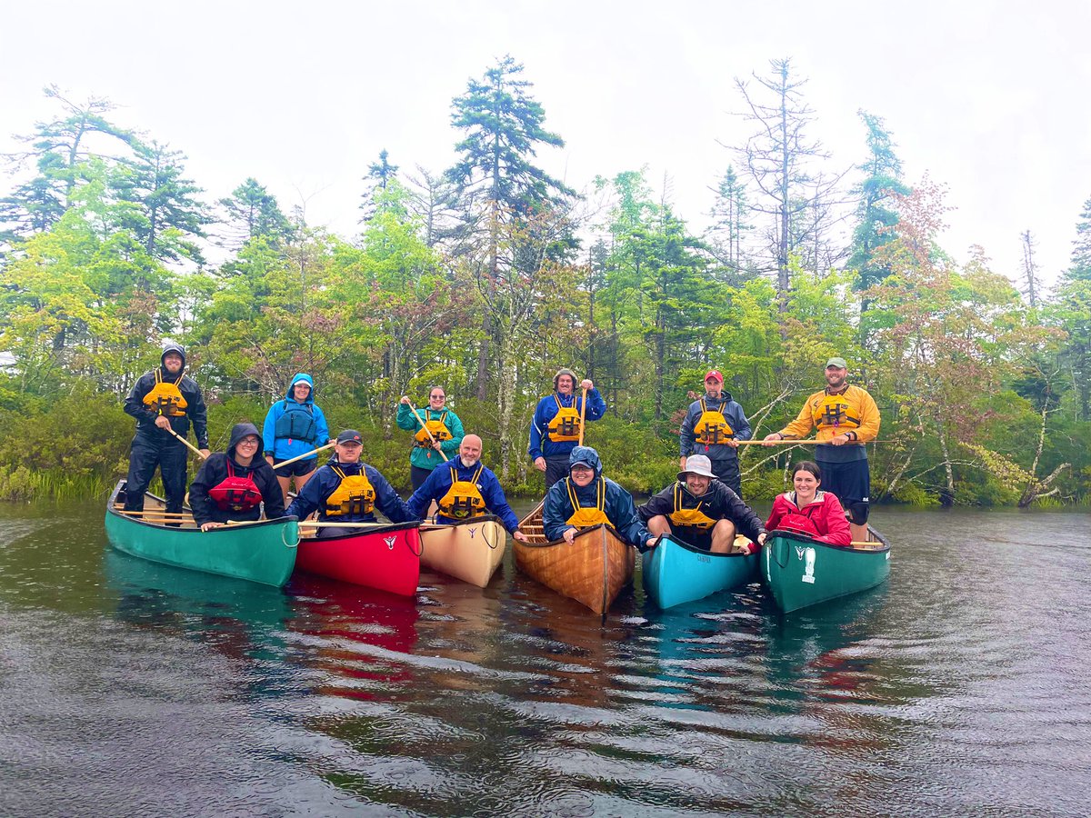 Nicole Chisholm tweet media