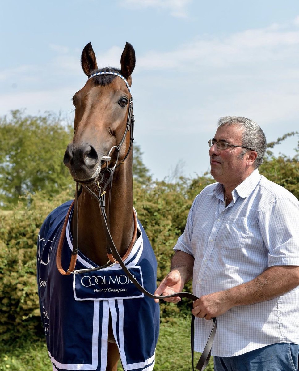 cbhills's tweet image. Thank you Battaash for all the memories -a horse of a lifetime. Also a huge thank you to all those who worked closely with him throughout his career - it’s certainly been a journey and we couldn’t have done it without you➡️
#battaash #champion #sprinter #recordbreaker #superstar