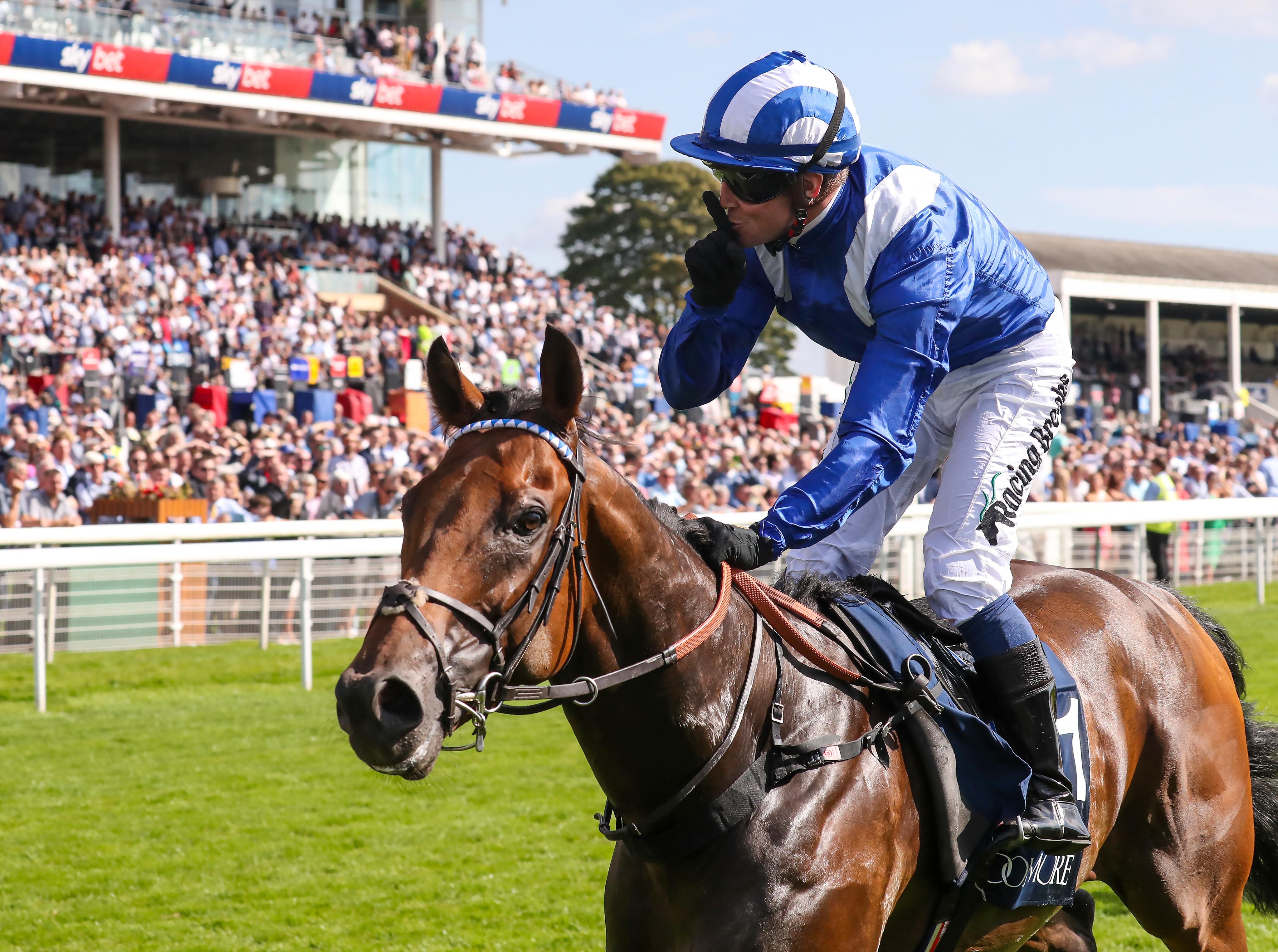 mjp document scanning on Twitter "RacingPost Happy Retirement been a