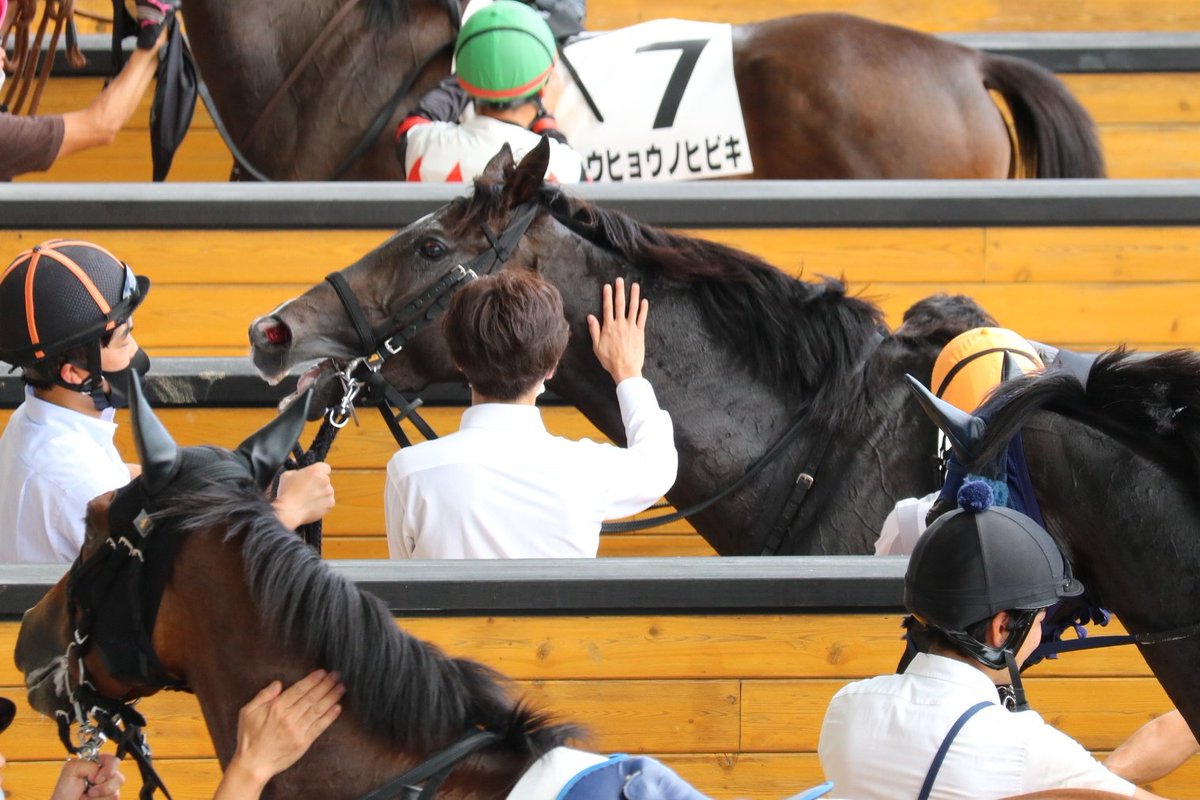 本日の幸四郎せんせ