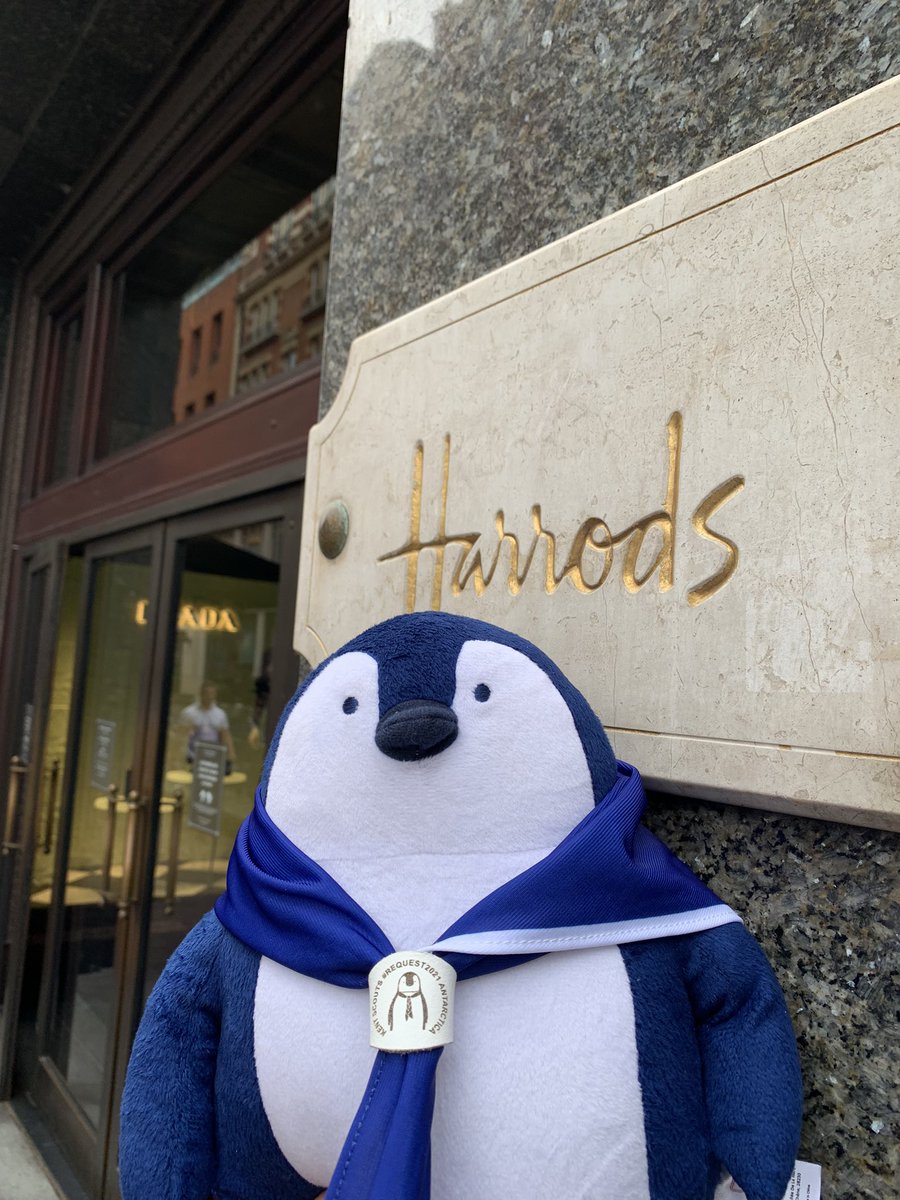 Shackleton The Penguin tweet media