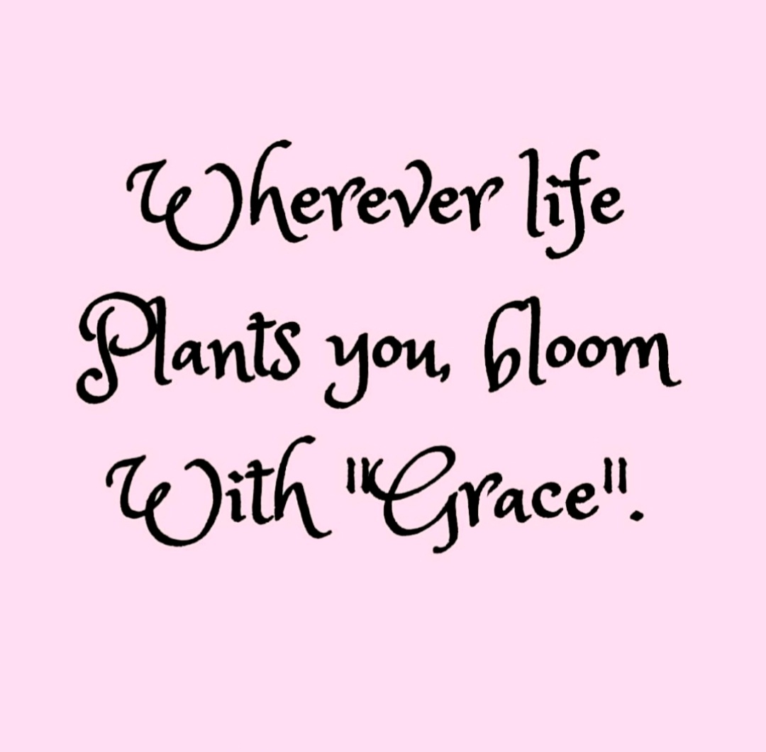 CSprite3's tweet image. Happy Saturday everyone! Life always throw us some curveball. It just depends on us how we deal with it. Not letting anything ruin the day, is the key. Making the most of our time and enjoying what we have around us. Appreciate what we have. Enjoy the day😊🌺☀️🌸❤
