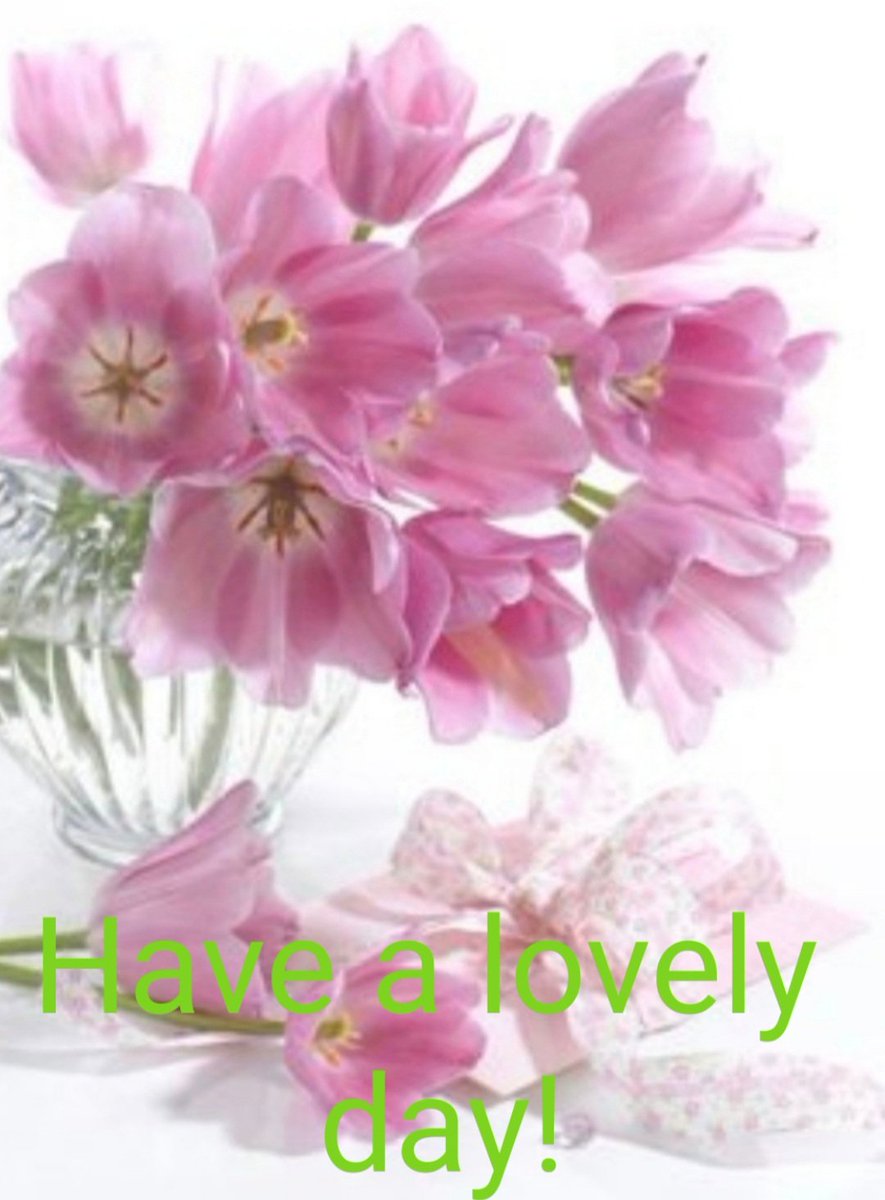 CSprite3's tweet image. Happy Saturday everyone! Life always throw us some curveball. It just depends on us how we deal with it. Not letting anything ruin the day, is the key. Making the most of our time and enjoying what we have around us. Appreciate what we have. Enjoy the day😊🌺☀️🌸❤