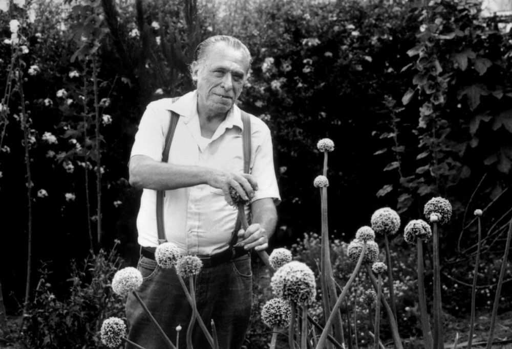 'Yıkıldığı zaman altından kalkabileceğin hayaller kur. İnsanların seni yarı yolda bırakma ihtimalini unutma.' - C. Bukowski
