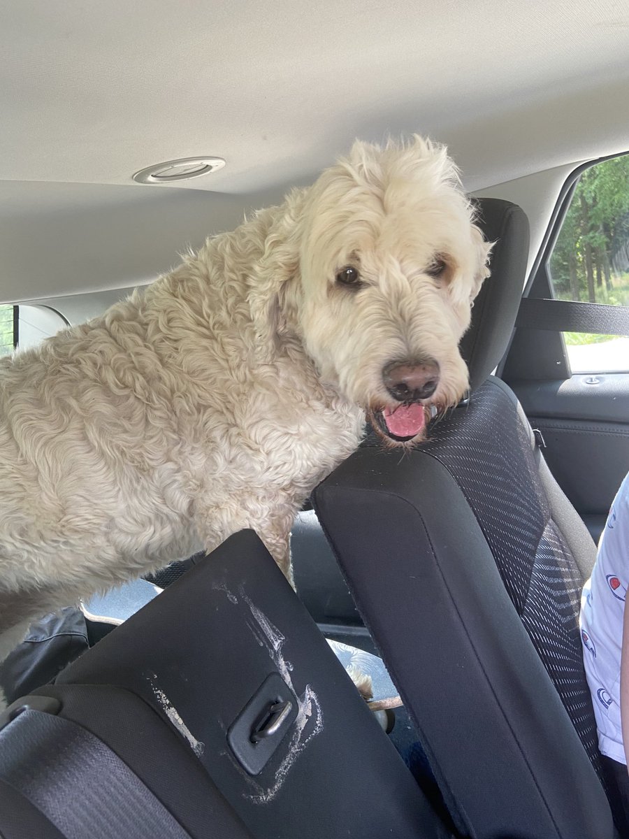 Dale McCarthy tweet media