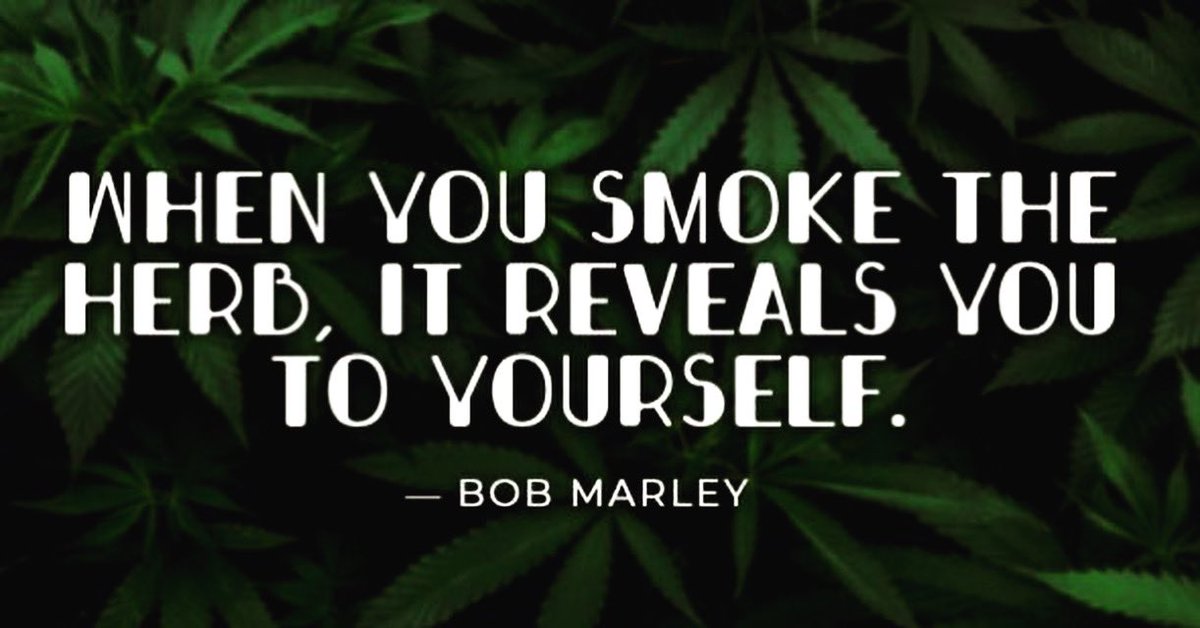 LiftedLegend5's tweet image. Who’d your favorite stoner?!??
#xCodeh #trailerparkboys #sethrogan #bobmarley