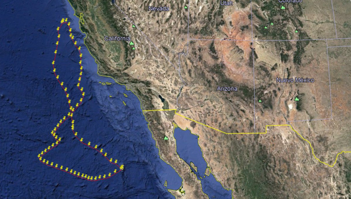 Seabird Ecology Lab (@seabirdecology) on Twitter photo Another impressive trip of Townsend's #StormPetrels! This time it is 1100km north to forage right in front of #SanFrancisco in just 7 days! <a href="/IngridPollet/">Dr. Ingrid Pollet 🇫🇷 🇨🇦 has logged off.</a> I think these birds are determined to beat the record of your Leach's 😉🙃 #seabirds <a href="/IslasGECI/">Conservación Islas</a> @NeoBirdClub <a href="/FmedranoM/">Fernando Medrano Martínez</a> Another impressive trip of Townsend's #StormPetrels! This time it is 1100km north to forage right in front of #SanFrancisco in just 7 days! <a href="/IngridPollet/">Dr. Ingrid Pollet 🇫🇷 🇨🇦 has logged off.</a> I think these birds are determined to beat the record of your Leach's 😉🙃 #seabirds <a href="/IslasGECI/">Conservación Islas</a> @NeoBirdClub <a href="/FmedranoM/">Fernando Medrano Martínez</a>