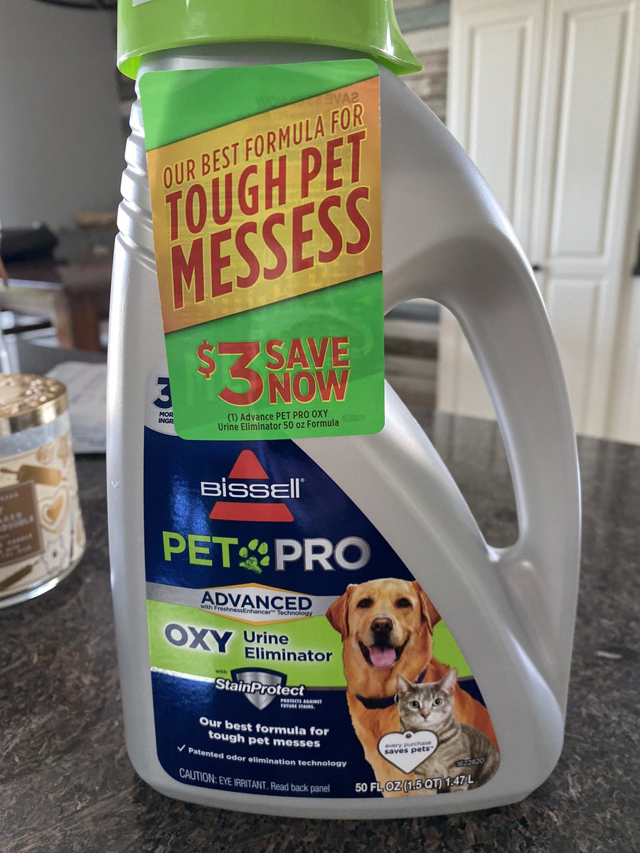 My2Andrea's tweet photo. Call me crazy @BISSELLclean but is MESSESS even a word? https://t.co/JfxJTNWXV2