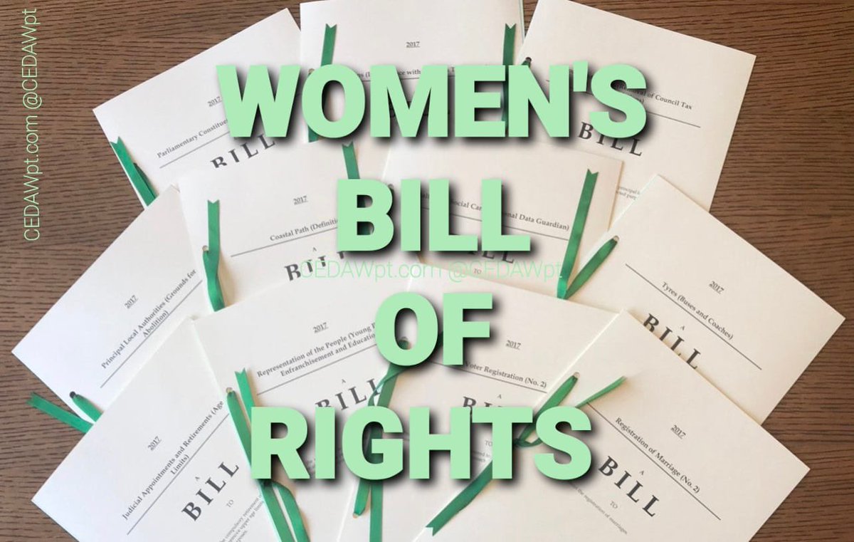 1 Aug 2021 is the 1st anniversary celebration of the #CEDAWPeoplesTribunal 
Scroll down in the link below for up to date news!
👇🏼👇🏼👇🏼. 
CEDAWpt.com 

#CEDAWinLaw #WBoR
Not going to wait another 40yrs to finally get a #WomensBillofRights