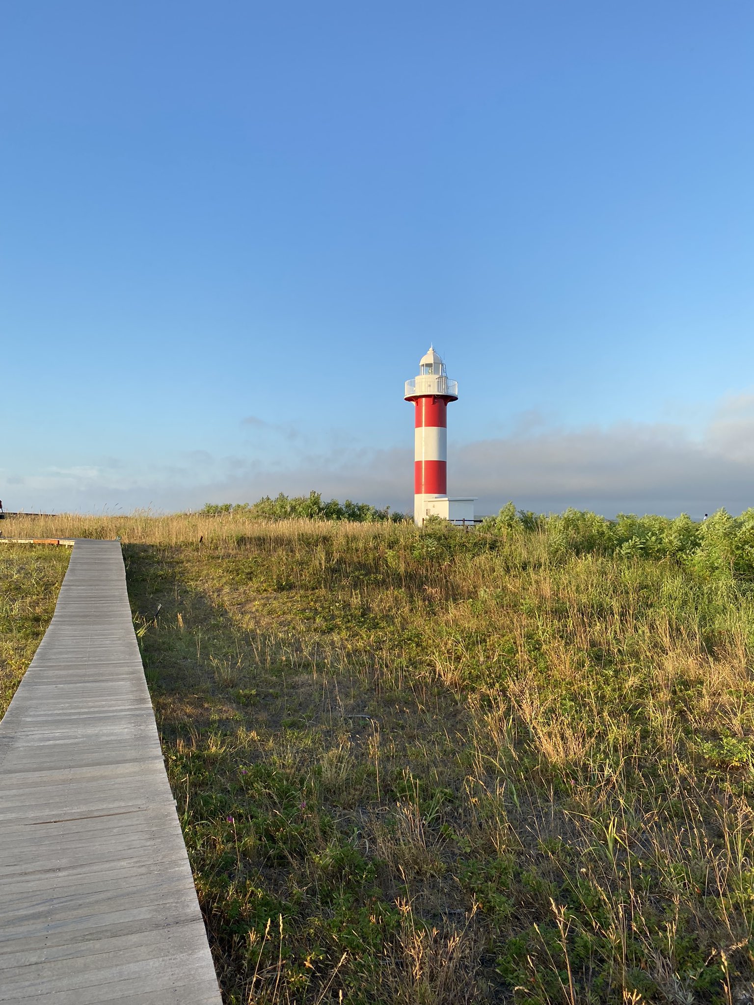 ハマナスの丘公園 Twitter Search Twitter