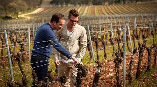 Quand le rosé de Provence fait son cinéma lexpress.fr/styles/vin-alc…