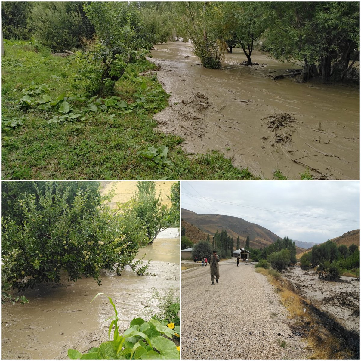 EsendereBel's tweet photo. Öğle saatlerinde etkili olan sağanak yağış beldemiz konuklu mahallesinde sele neden oldu. Meydana gelen selde bahçeler, meyve ağaçları, yollar ve sulama kanallarımız büyük zarar gördü. Tüm vatandaşlarımıza geçmiş olsun.

@dirbazbuyuksu https://t.co/q5YWJmZqb5