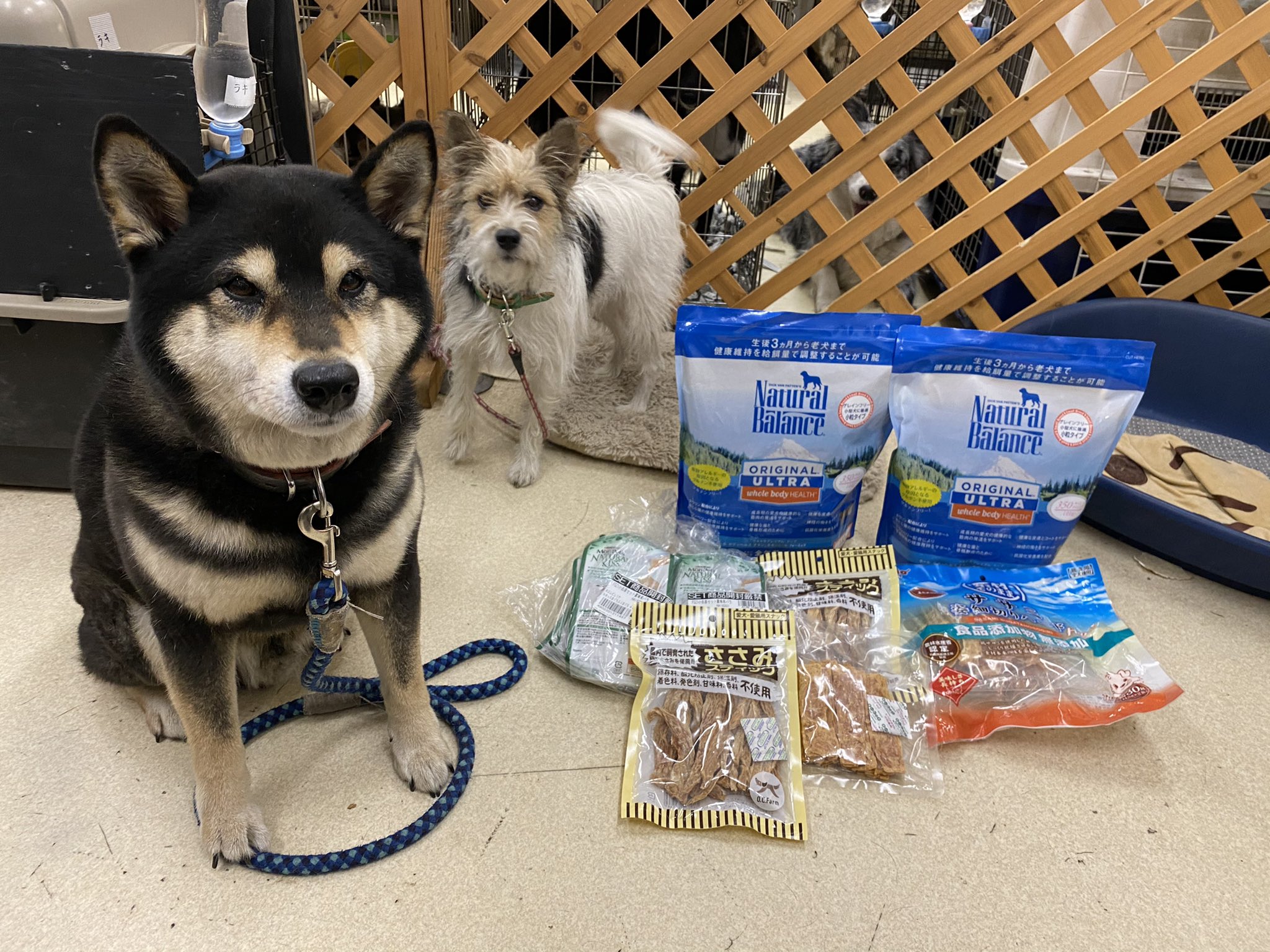 一般社団法人レスキュードアニマルネットワーク 匿名の方より ネスレ Natural Kiss ささみスティック 4 Natural Balance 匿名の方より 新聞紙 フリマ用品 匿名の方より フリマ用品 T Co Hfjoj51yhq Twitter