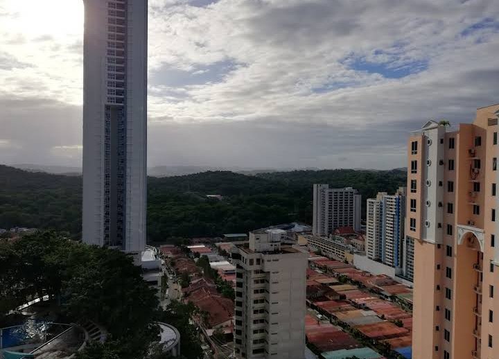 corollapty's tweet photo. Hermosa mañana hoy https://t.co/oGccuUFz23