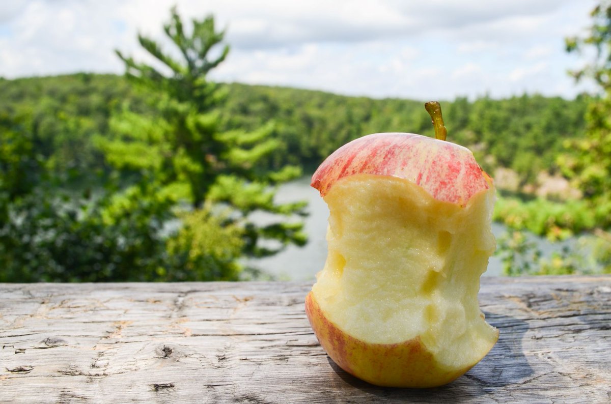 More people in the park sadly means more garbage in the park! When visiting #GatineauPark, always bring your garbage back with you or properly dispose of it in the bins located in every parking lot. 🚮 Even if it's an apple core! #LeavenoTrace