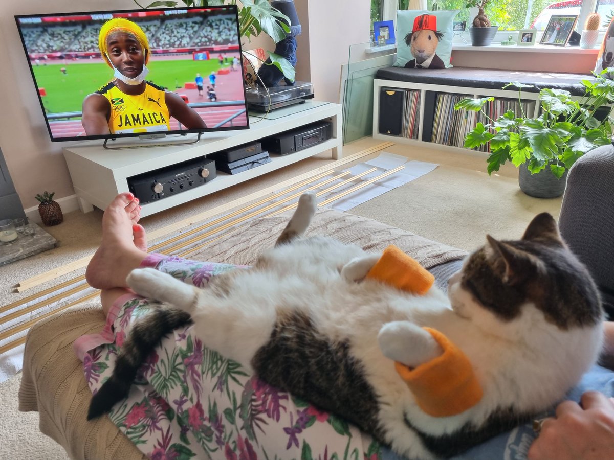 jrewart's tweet photo. @EddieRobson following on from stevies christmas blow out. Here he is enjoying the Olympics with his sweat bands on https://t.co/msQzMqy6XH