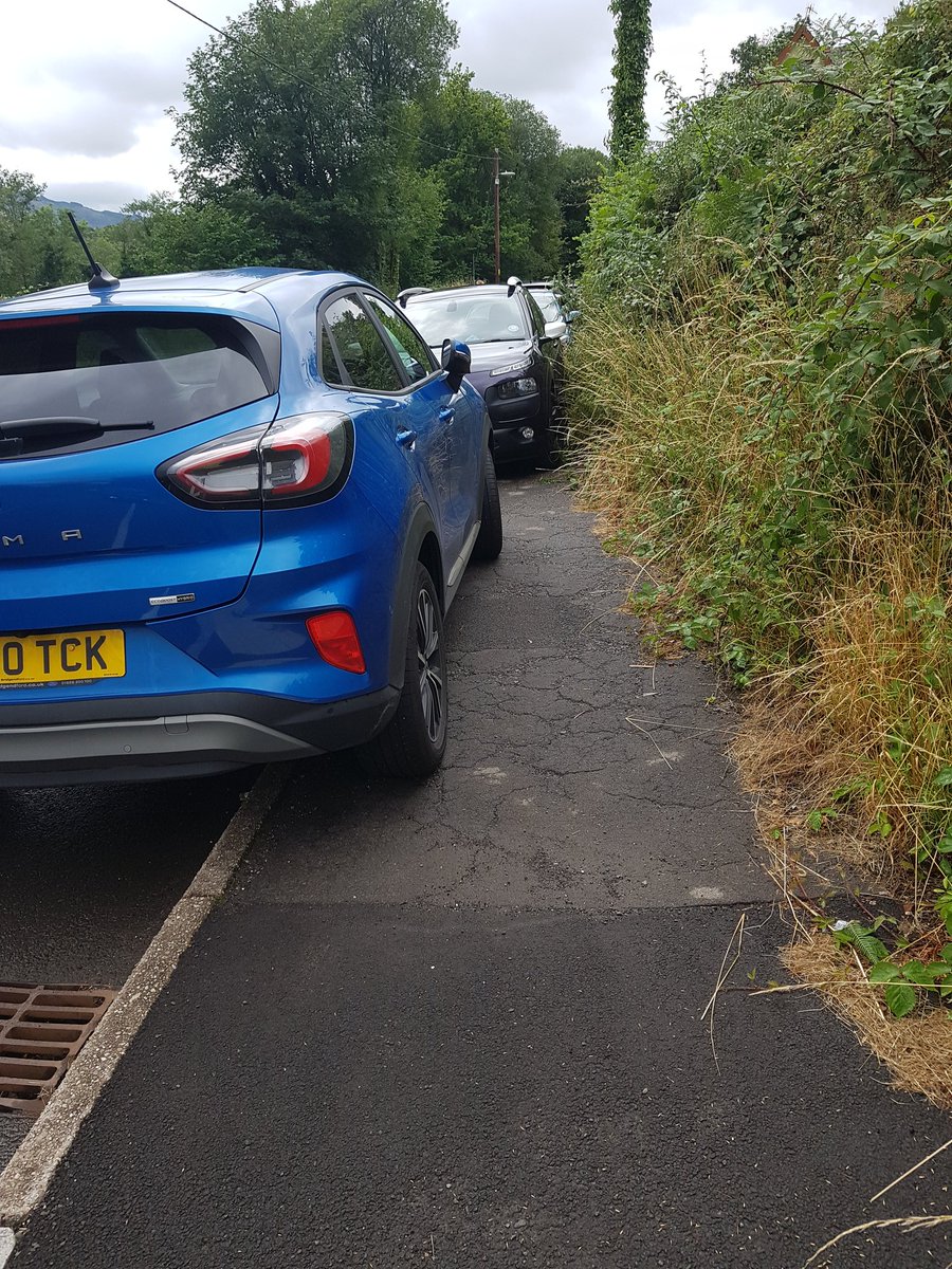 Pathorgan tweet media