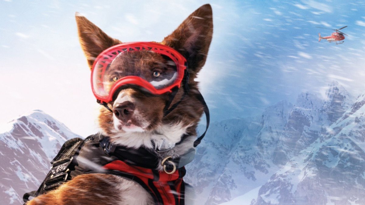 CanMusHistory's tweet photo. Henry is an avalanche search and rescue K9 working in Whistler Blackcomb, Canada, and a Superpower Dogs cast member.
🐕🐶🐾 Watch #SuperpowerDogs from the comfort of your home! Rent now https://t.co/vLRLCjbZ4H https://t.co/ZAeEHMRjVr