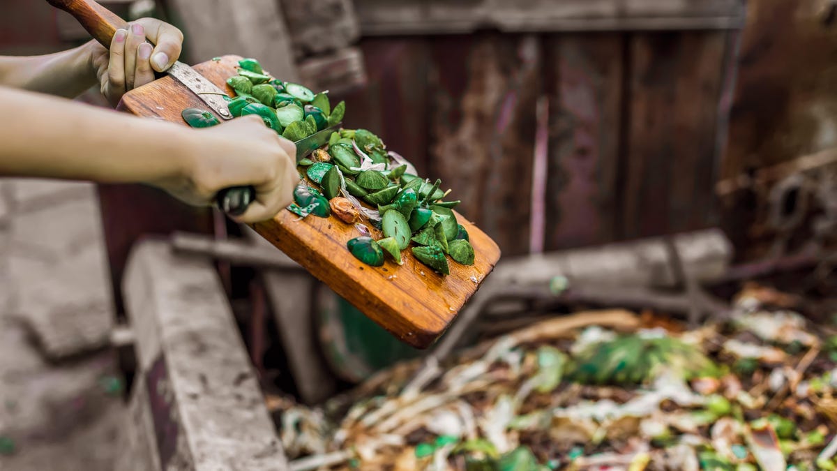 lifehacker's tweet image. The Best and Worst Foods for Composting dlvr.it/S4nDZY