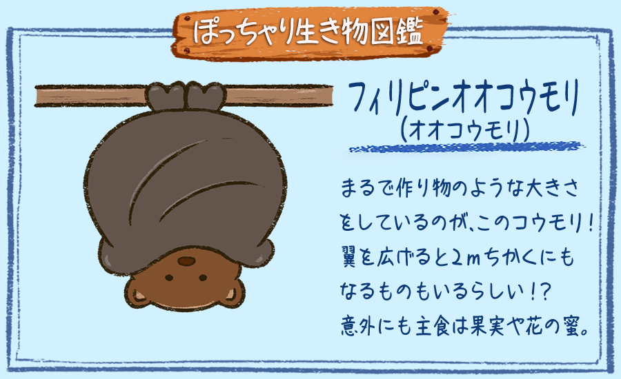 ぽっちゃり昆虫図鑑 略してぽちゃこん ぽっちゃり生き物図鑑 No 117 フィリピンオオコウモリ オオコウモリ ぽっちゃり体型の生き物を毎日描いています 今日はまるで作り物のような大型のコウモリ オオコウモリです 生き物 絵 イラスト