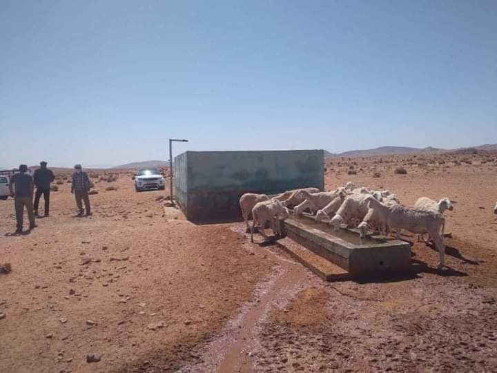 #ولاية_النعامة #مقاطعة_صفيصيفة في إطار المشاريع الموجهة لمناطق الظل قام إطارات مديرية المصالح الفلاحية والقسم الفرعي لصفيصيفة رفقة ممثل المجلس الشعبي البلدي والهيئة التقنية للري CTH بمعاينة إنجاز بئر رعوي مع التجهيز لصالح موالي منطقة النفيخة العملية في الرتوشات الاخيرة من المشروع