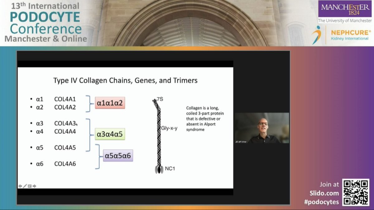 Dr @JeffMinerPhD reviews the science of genes, proteins, and kidney disease for #Podocyte2021 Patient Information Day.