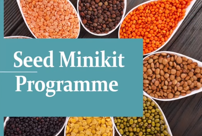 M12India's tweet photo. Centre launches Seed Minikit Programme to make India self sufficient in Pulses and Oilseeds. Was launched on 2 June Union Agriculture Minister @nstomar to reduce dependence on Imports and objective to introduce high quality seeds free of cost. I know its late😝😝😝😝😝😝😝😝😝😝 https://t.co/VW7dC9yVh2
