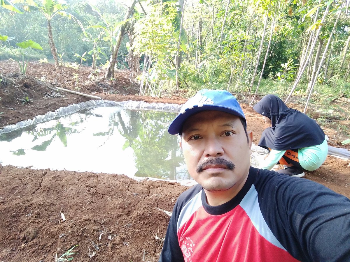 didisardi76's tweet photo. Mari bertani mangga ,,Ciloa Nigrum" https://t.co/AqwiUHowXg