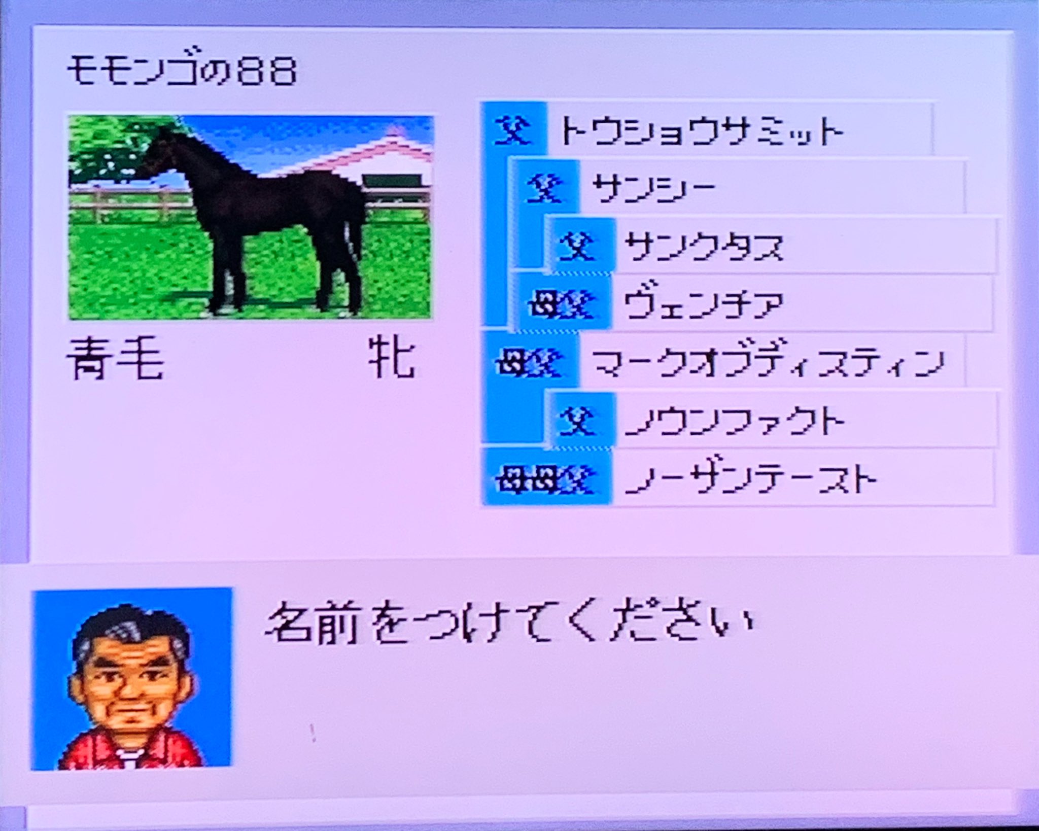 ダビスタ98 Twitter Search Twitter