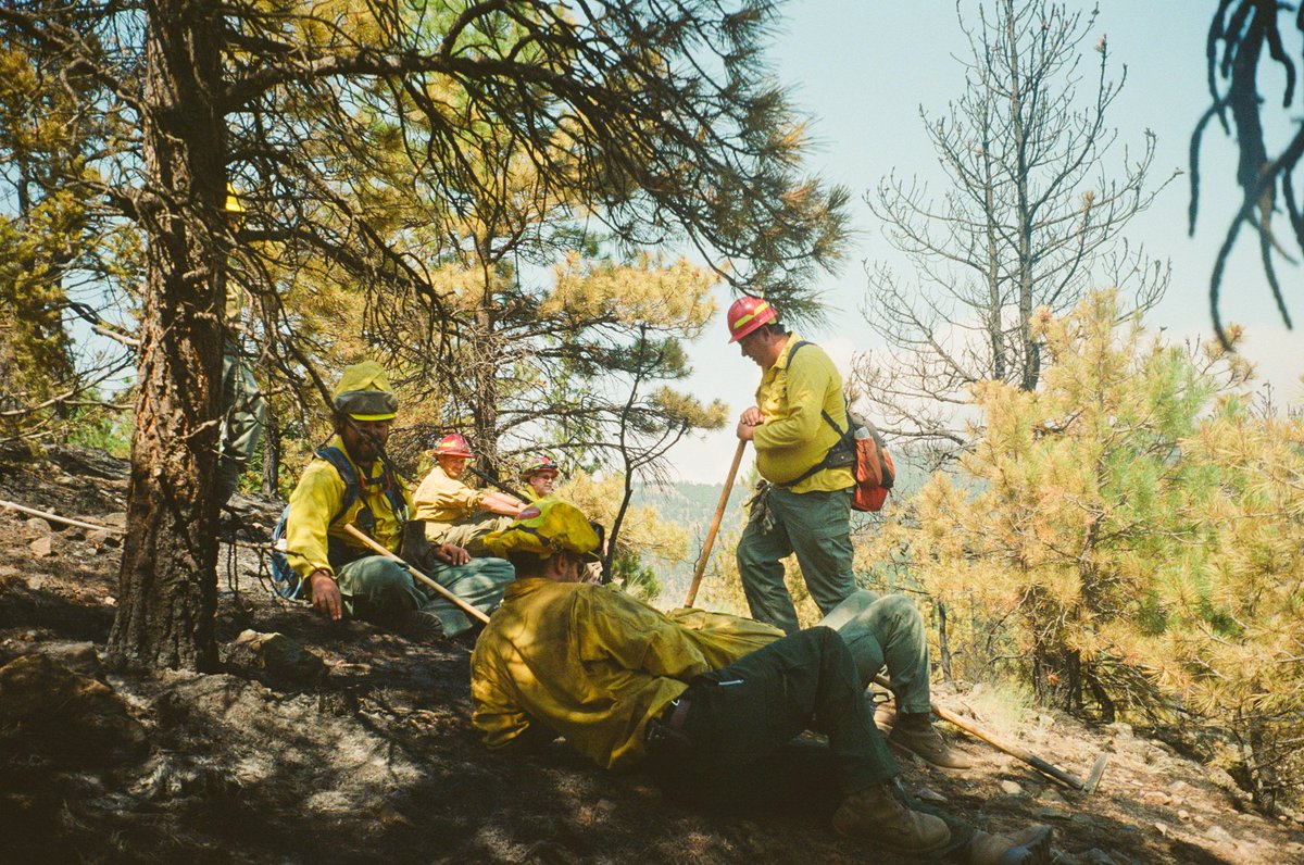 jtdscape's tweet image. life on fire